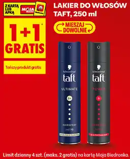 Biedronka Lakier do włosów Taft oferta