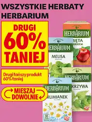 Biedronka Wszystkie herbaty Herbarium oferta