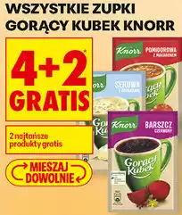 Biedronka Wszystkie zupki Gorący Kubek Knorr oferta