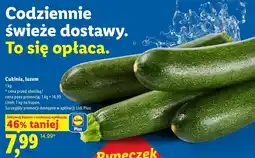 Lidl Cukinia, luzem oferta
