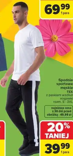 Carrefour Spodnie sportowe męskie TEX oferta