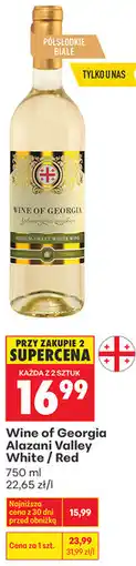 Biedronka Wine of Georgia Alazani Valley White / Red oferta