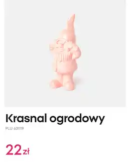Pepco Krasnal ogrodowy oferta