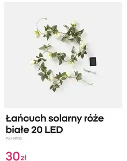 Pepco Łańcuch solarny róże białe 20 LED oferta