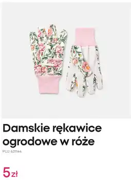 Pepco Damskie rękawice ogrodowe w róże oferta