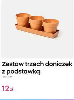 Pepco Zestaw trzech doniczek z podstawką oferta