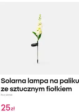 Pepco Solarna lampa na paliku ze sztucznym fiołkiem oferta