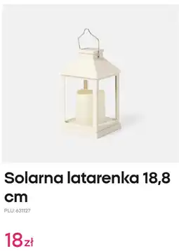 Pepco Solarna latarenka 18,8 cm oferta