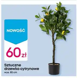 Pepco Sztuczne drzewko cytrynowe, 85 cm oferta