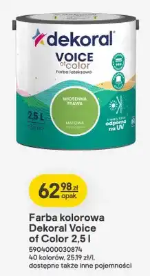 Castorama Farba kolorowa Voice of Color oferta