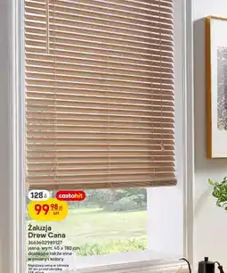 Castorama Żaluzja Drew Cana jasna wym. 45 x 180 cm dostępne także inne wymiary i kolory oferta