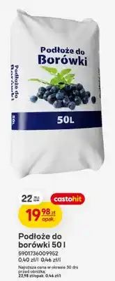 Castorama Podłoże do borówki oferta