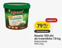 Castorama Nawóz 100 dni do trawników oferta