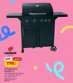 Castorama Grill gazowy Rookie 4.1 oferta