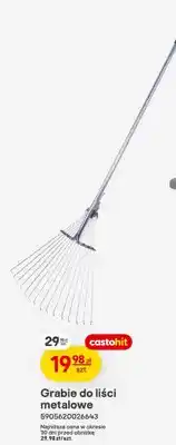 Castorama Grabie do liści metalowe oferta