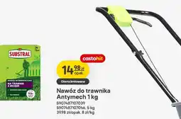 Castorama Nawóz do trawnika Antymech oferta