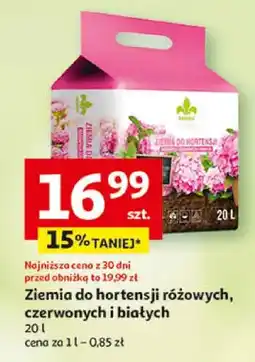 Auchan Ziemia do hortensji różowych, czerwonych i białych oferta