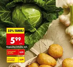 Biedronka Kapusta młoda oferta