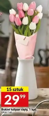 Twój Market Bukiet tulipan cięty oferta