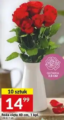 Twój Market Róża cięta 40 cm oferta