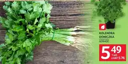Selgros Kolendra doniczka oferta