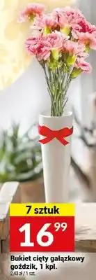 Twój Market Bukiet cięty gałązkowy goździk oferta
