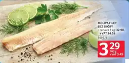 Selgros Molwa filet mrożony oferta