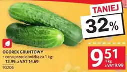 Selgros Ogórek gruntowy oferta