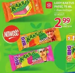 Selgros Lody Kaktus Patec 75ml dwa rodzaje oferta