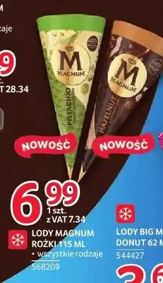 Selgros Lody Magnum Różki oferta