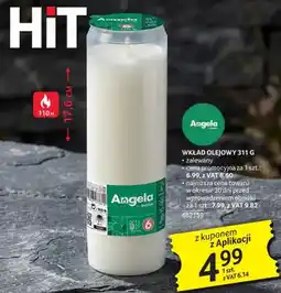 Selgros Wkład olejowy ANGELA WKŁAD OLEJOWY oferta