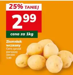 Hitpol Ziemniak oferta