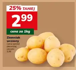 Hitpol Ziemniak wczesny oferta