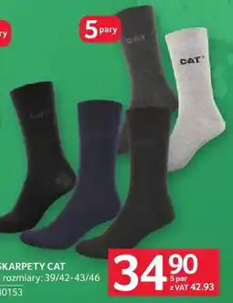 Selgros Skarpety Cat oferta