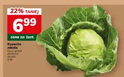 Hitpol Kapusta młoda oferta