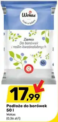 Bricomarche Podłoże do borówek oferta