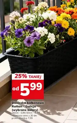 Hitpol Doniczka balkonowa Rattan Galicja wybrane kolory oferta