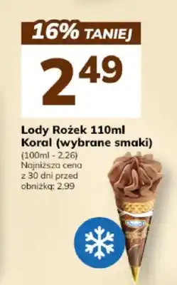 Hitpol Lody Rożek 110ml Koral (wybrane smaki) oferta