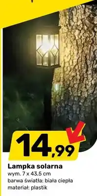 Bricomarche Lampka solarna oferta