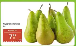 Biedronka Gruszka konferencja luz oferta