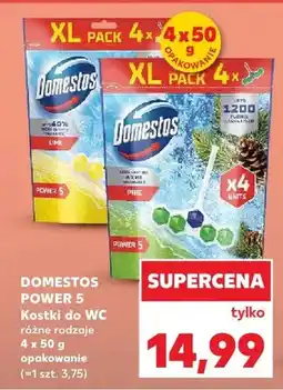 Kaufland Kostki do WC różne rodzaje oferta