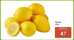 Dino Cytryna oferta