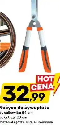 Bricomarche Nożyce do żywopłotu oferta