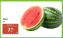 Biedronka Arbuz luz oferta