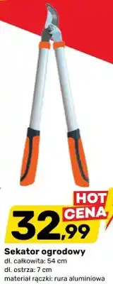 Bricomarche Sekator ogrodowy oferta