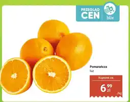 Dino Pomarańcza luz oferta