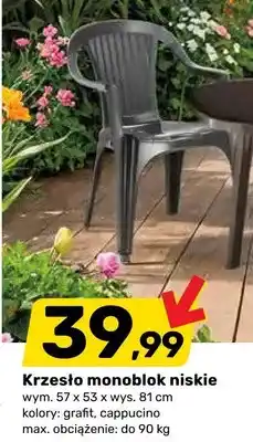 Bricomarche Krzesło monoblok niskie oferta