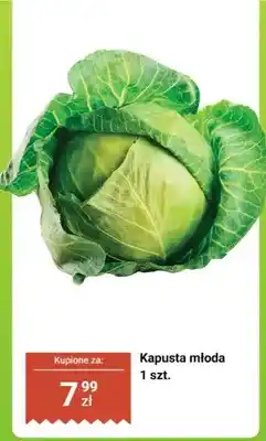 Biedronka Kapusta młoda 1 szt oferta
