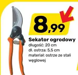 Bricomarche Sekator ogrodowy oferta