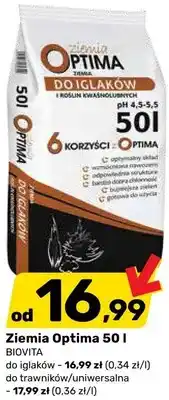 Bricomarche Ziemia Optima oferta